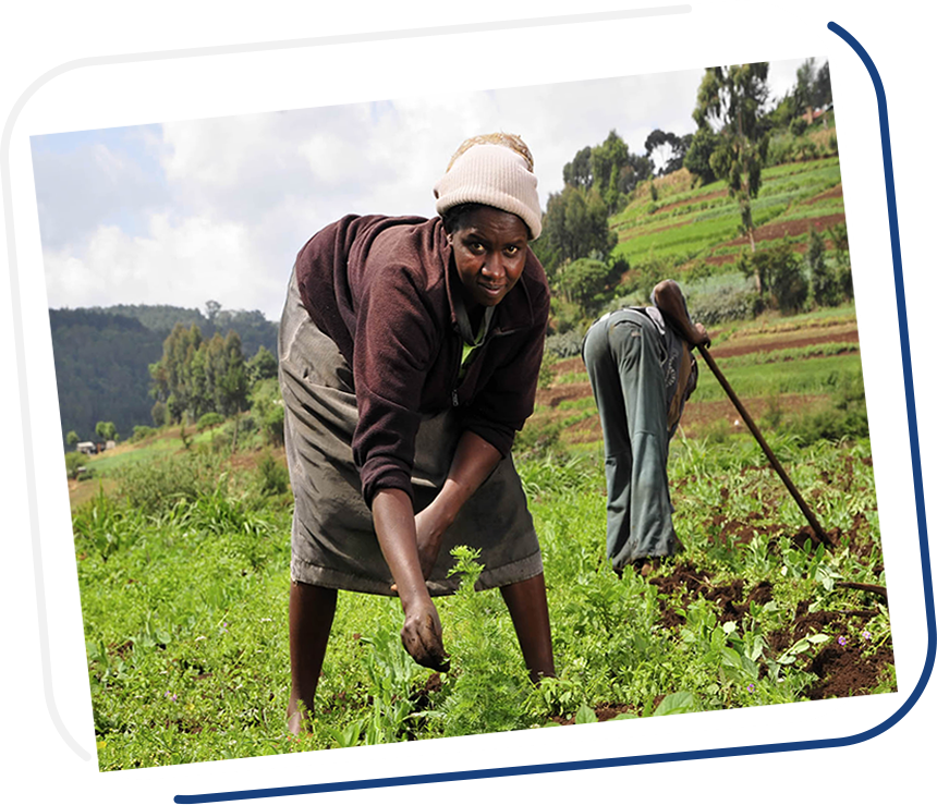 African Regional Program Development Agency